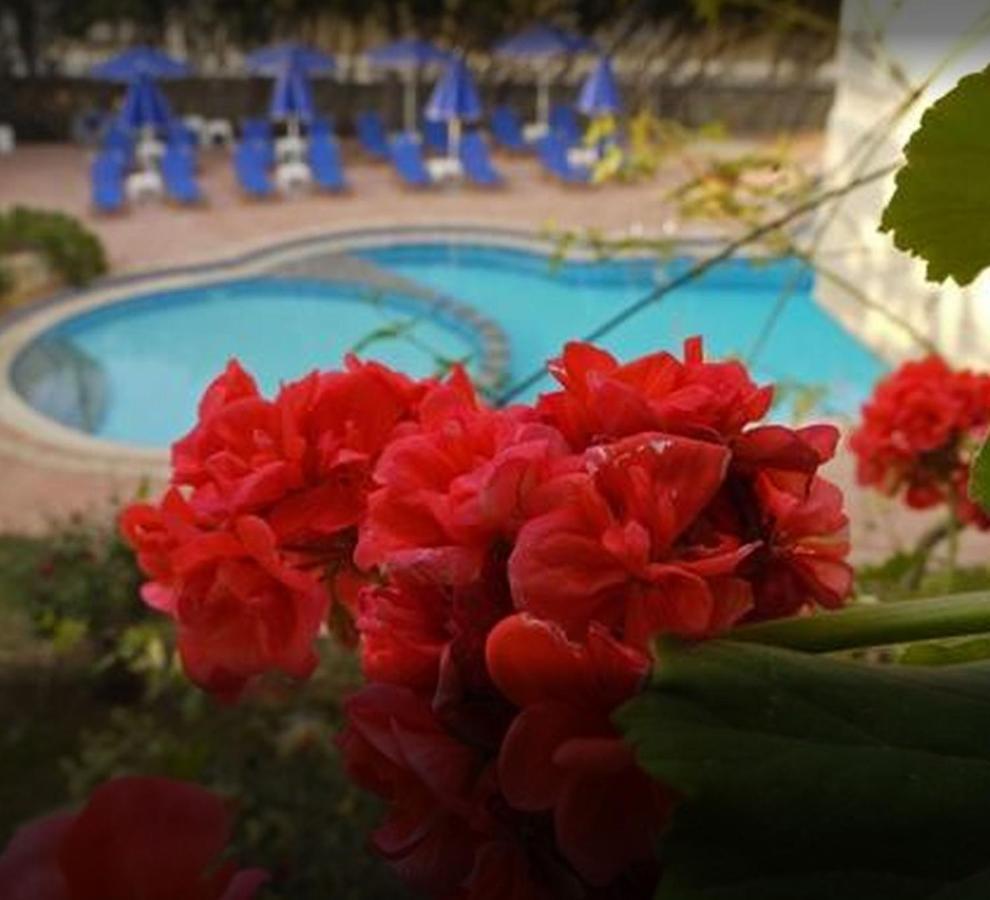 Lili Apartments,Oasis 2,5 Km From Hania Center Parigoria Экстерьер фото