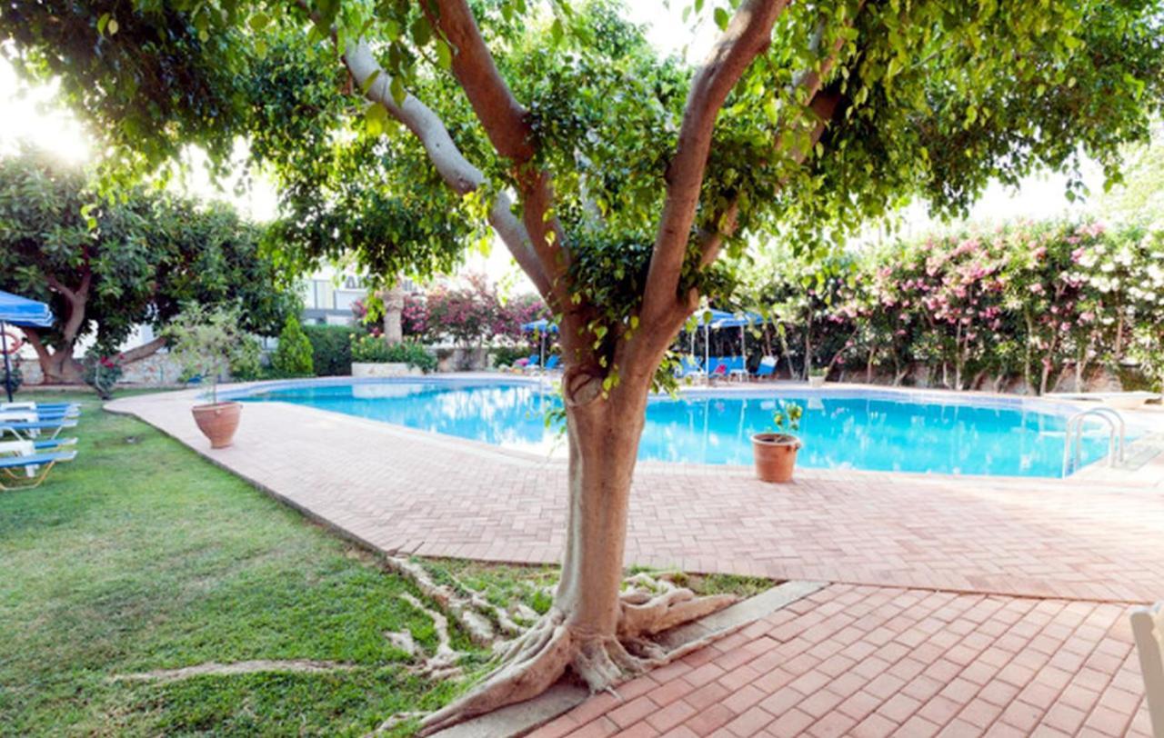 Lili Apartments,Oasis 2,5 Km From Hania Center Parigoria Экстерьер фото